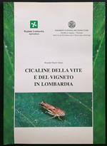 Cicaline della vite e del vigneto in Lombardia