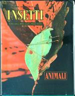 Insetti Vol I