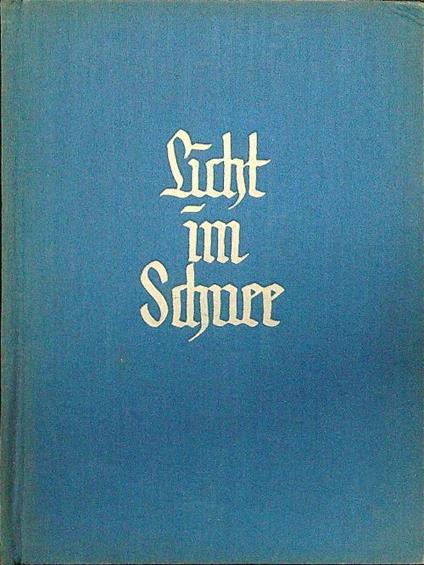 Licht im schnee - Roswitha Bitterlich - copertina