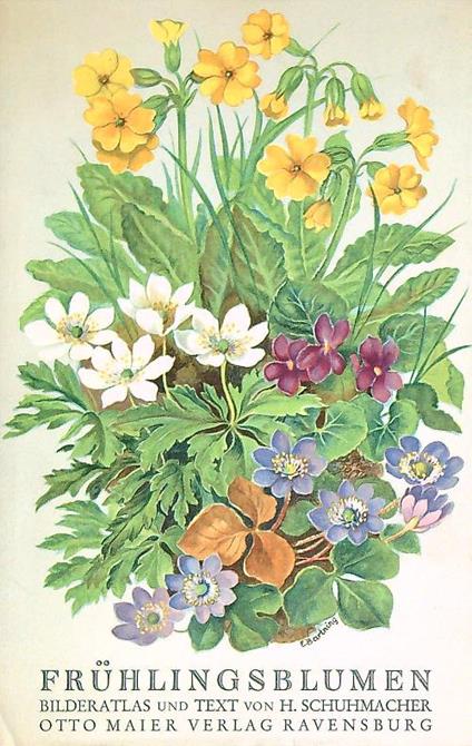 Frühlingsblumen - H. Schuhmacher - copertina