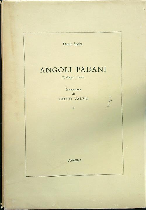 Angoli padani - Dante Spelta - copertina