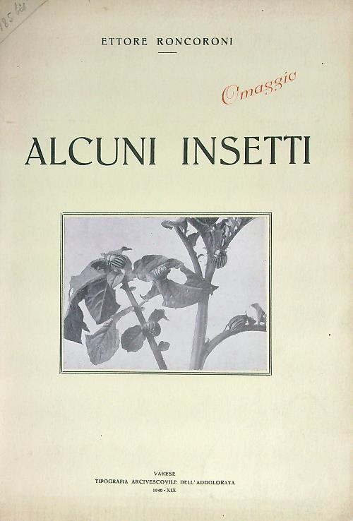 Alcuni insetti