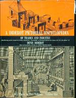 A Diderot pictorial encyclopedia 2vv