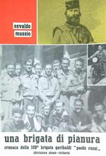 Una  brigata di pianura