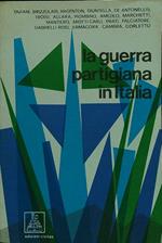 La guerra partigiana in Italia