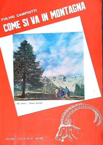 Come si va in montagna - Fulvio Campiotti - copertina