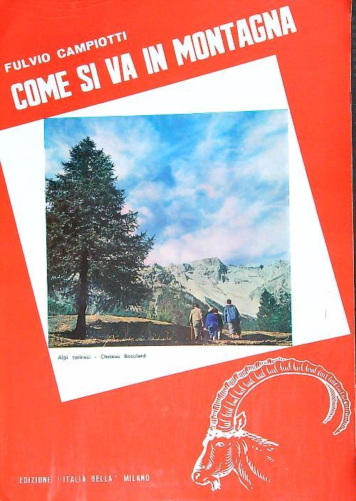 Come si va in montagna - Fulvio Campiotti - copertina