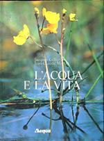 L' acqua e la vita