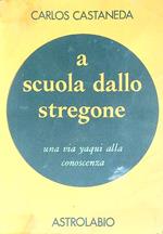 A scuola dallo stregone