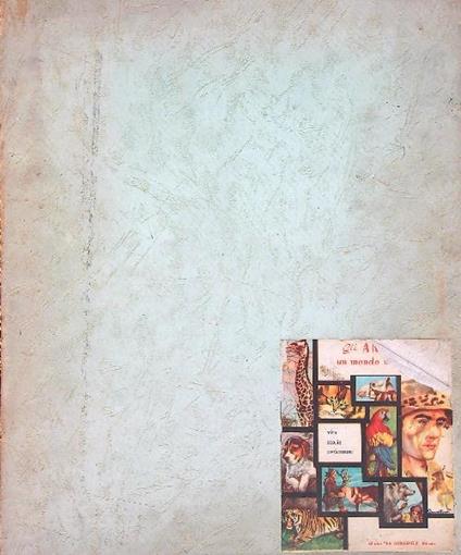 Gli animali un mondo meraviglioso - Dino Berretta - copertina