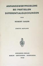 Anfangswertprobleme bei Partiellen Differentialgleichungen