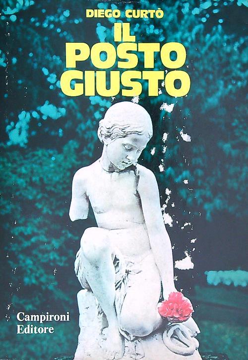 Il posto giusto - Diego Curto - copertina