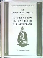 Sui Campi di Battaglia. Il Trentino, il Pasubio e gli altipiani