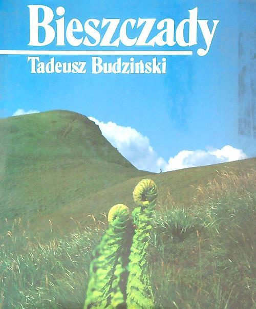 Bieszczady  - Tadeusz Budzinski - copertina