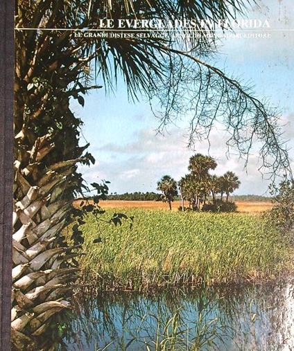 Le Everglades in Florida - copertina