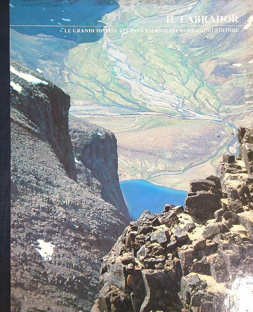 Il labrador - copertina