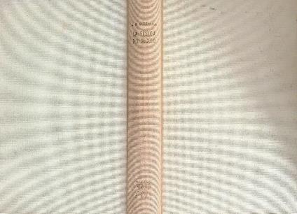 La fisica del secolo - Giovanni Battista Gazzaniga - copertina