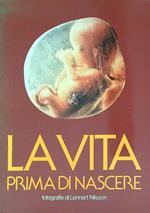 La vita prima di nascere
