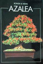 Azalea