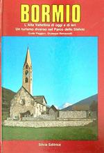 Bormio: l'Alta Valtellina di oggi e di ieri