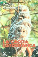 La  caccia fotografica