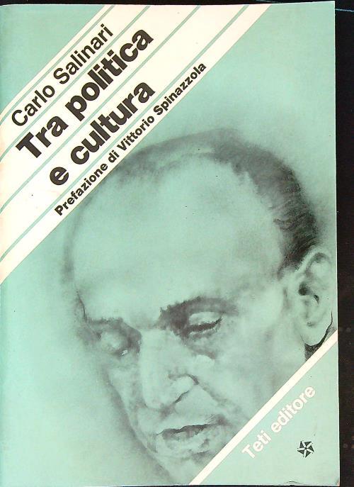 Tra politica e cultura  - Carlo Salinari - copertina