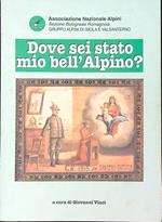 Dove sei stato mio bell' Alpino ? 