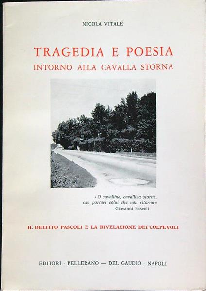 Tragedia e poesia intorno alla cavalla storna - Nicola Vitale - copertina