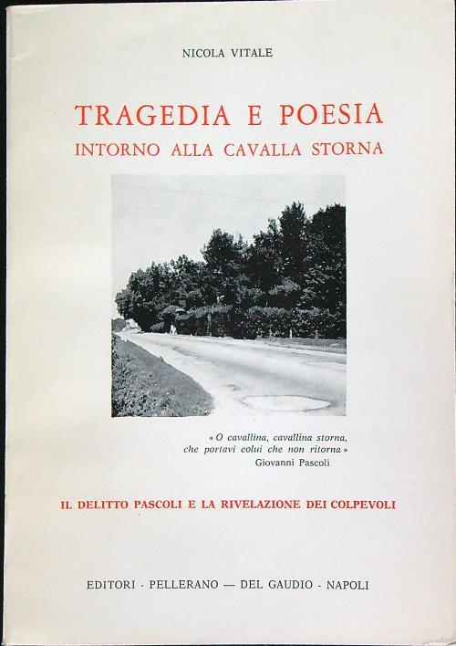 Tragedia e poesia intorno alla cavalla storna - Nicola Vitale - copertina