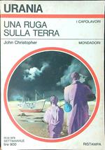 Una  ruga sulla terra