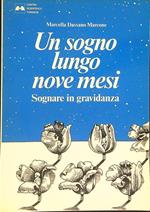 Un  sogno lungo nove mesi