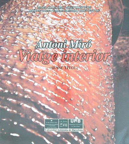 viatge interior   - Antoni Miro - copertina