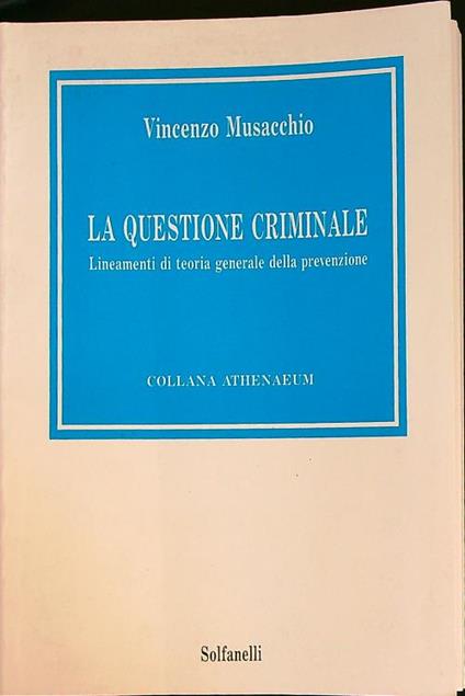 La questione criminale  - Vincenzo Musacchio - copertina