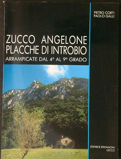 Zucco Angelone Placche di introbio - Pietro Corti,Paolo Galli - copertina