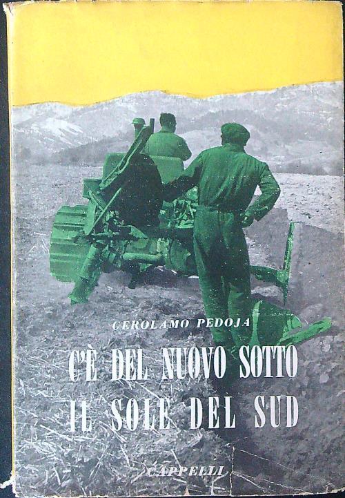 C'è del nuovo sotto il sole del sud - Gerolamo Pedoja - copertina