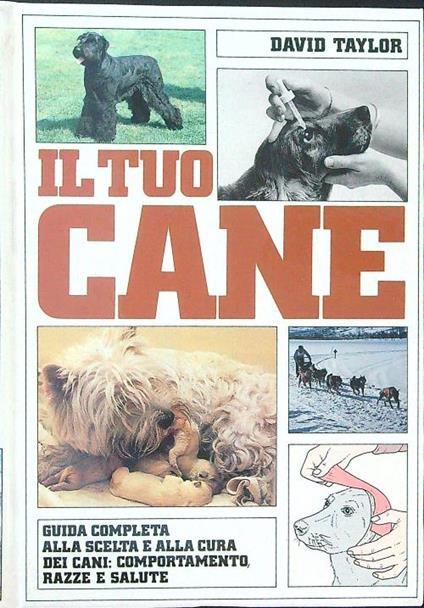 Il  tuo cane - David Taylor - copertina