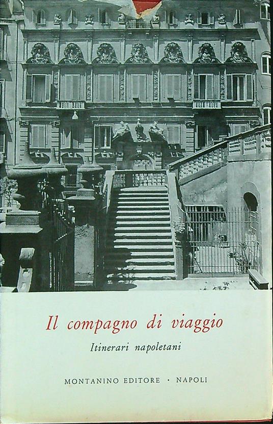 Il compagno di viaggio - copertina