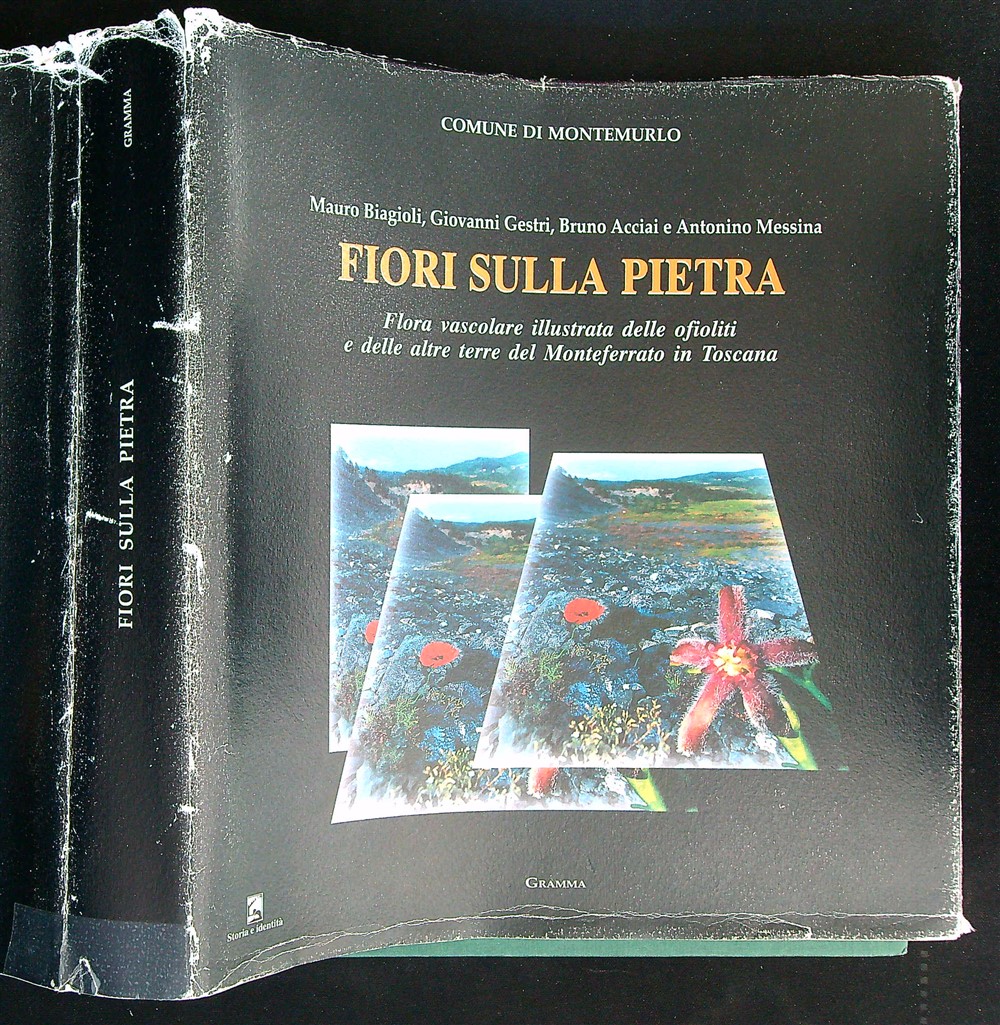 Libro di Faccia