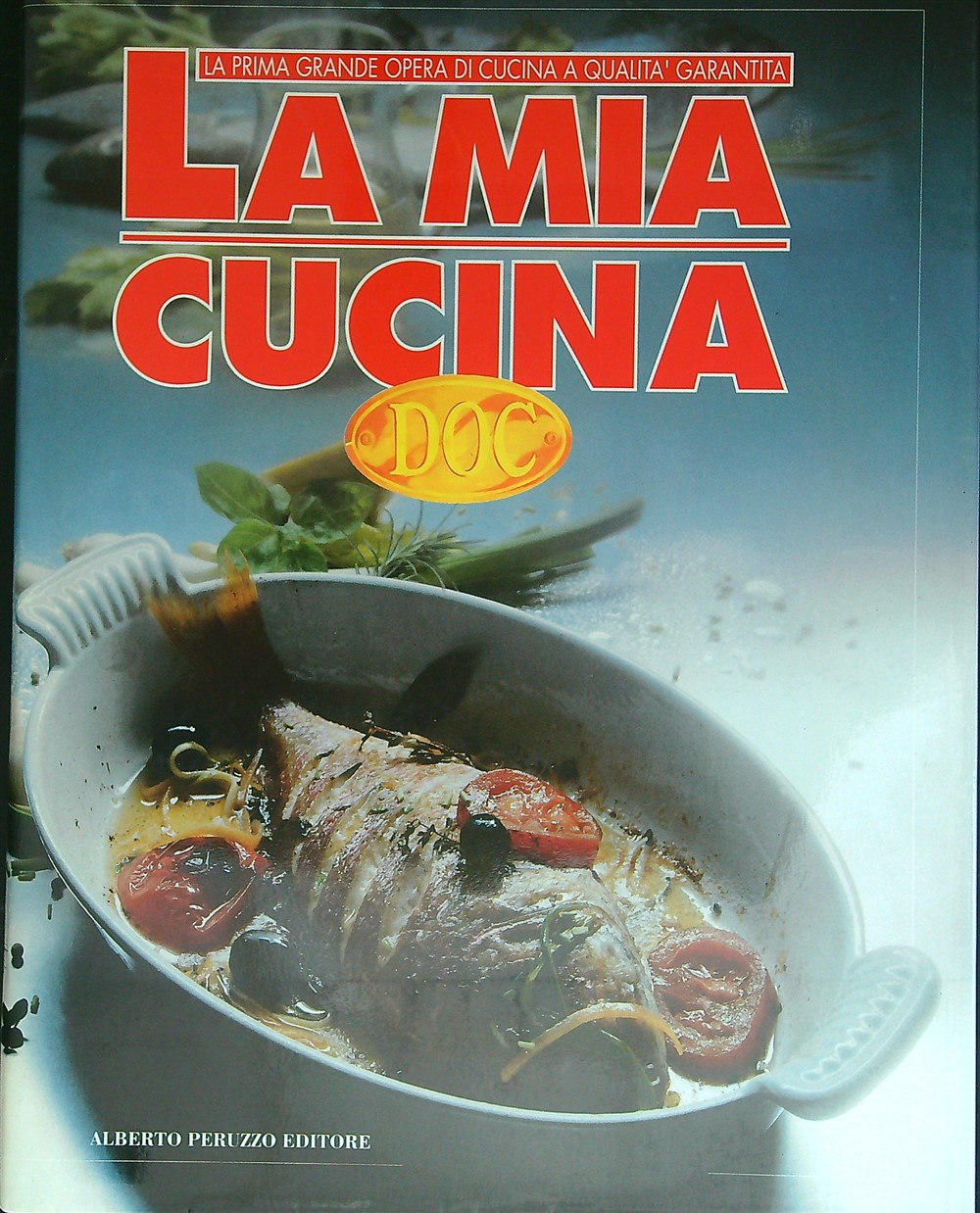 Libro di Faccia