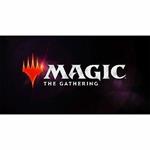 MTG - Modern Horizons 2 Bundle - SP