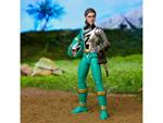 Power Rangers: Hasbro - Lawyer