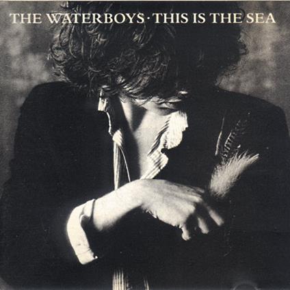 This Is The Sea - CD Audio di Waterboys