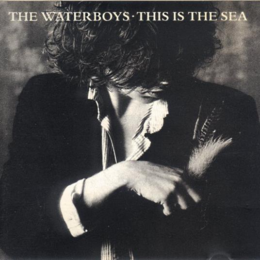 This Is The Sea - CD Audio di Waterboys