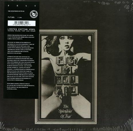 Splendour of Fear (Deluxe Remastered Edition) - Vinile LP di Felt - 2