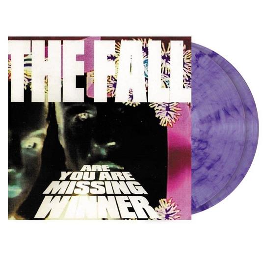 Are You Are Missing Winner (Purple-Grey Vinyl) - Vinile LP di Fall