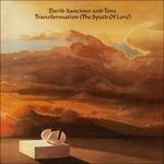 Transformation - CD Audio di David Sancious