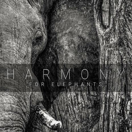 Harmony for Elephants - CD Audio