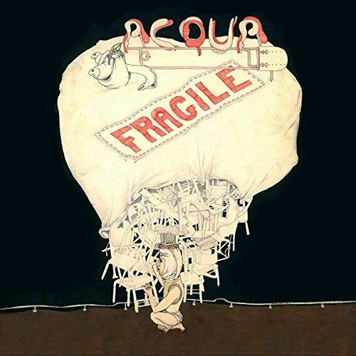 A New Chant - CD Audio di Acqua Fragile
