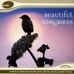 Beautiful Song Birds: A Blend Of Restful And Evocative Music With The Relaxing Sounds