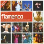Beginner's Guide to Flamenco - CD Audio